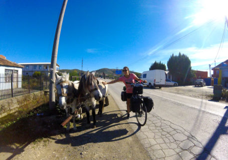 ânes tirant une charette en Albanie